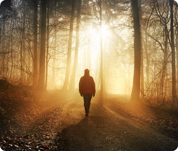 Person walking alone along a forest path with sunlight streaming through tall trees